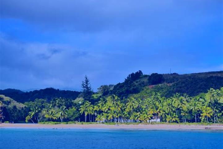 Lily, 37 — Escort in Avarua, Cook Islands