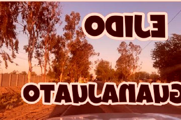 Lily, 37 — Escort in Ejido el Castillo, Mexico