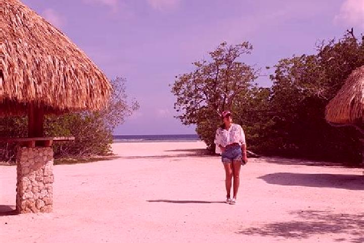 Lily, 37 — Escort in Pos Chiquito, Aruba