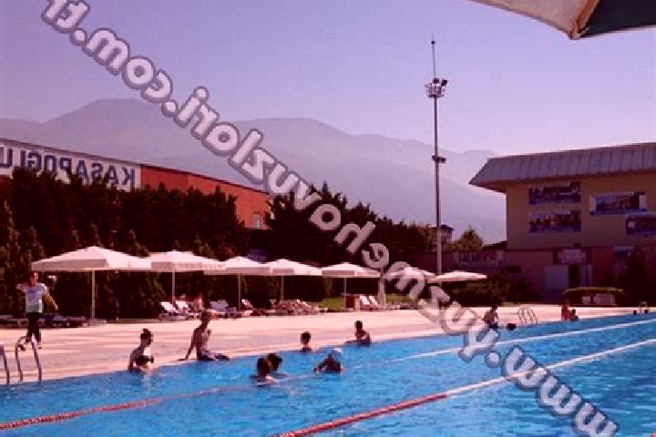 Lily, 37 — Escort in Yildirim, Turkey