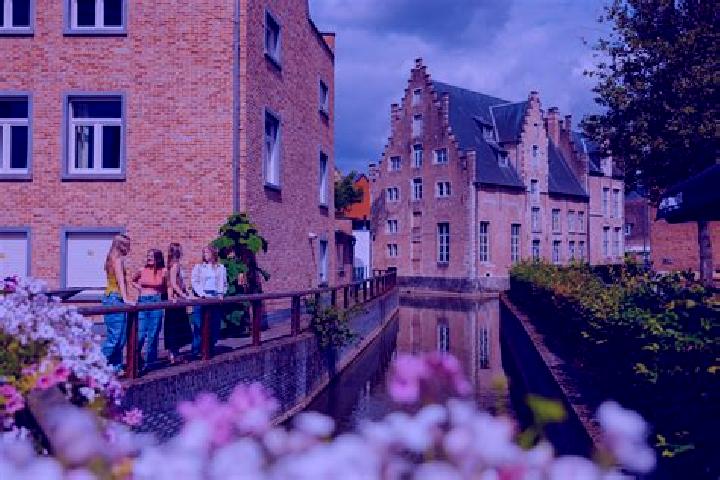 Lily, 38 — Escort in Diest, Belgium