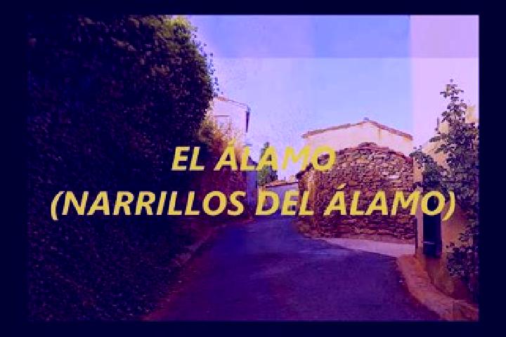 Lily, 38 — Escort in Narrillos del Alamo, Spain
