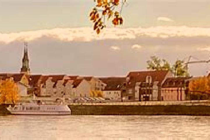 Lily, 38 — Escort in Pretzien, Germany
