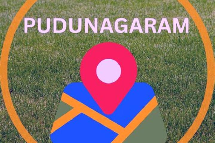 Lily, 38 — Escort in Pudunagaram, India