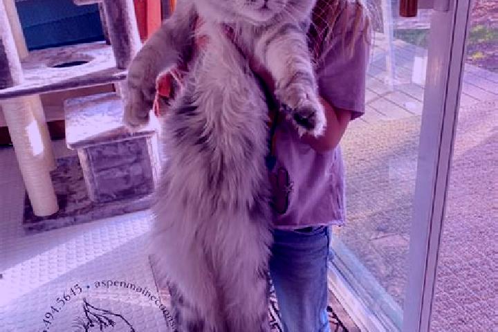 Lily, 39, a red dark-eyed european companion based in Hane. Offering Girlfriend Experience, OWO, BDSM. Available for incall and outcall, overnight bookings a...