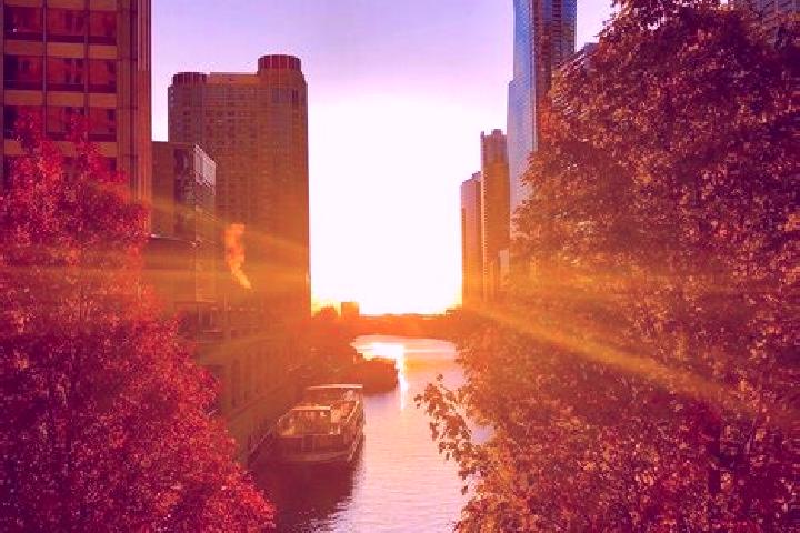 Lily, 39 — Escort in Chicago Loop, United States