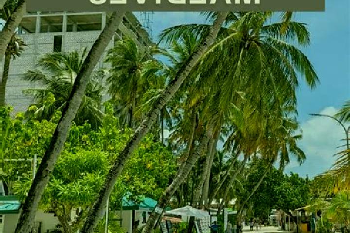 Lily, 39 — Escort in Maafushi, Maldives