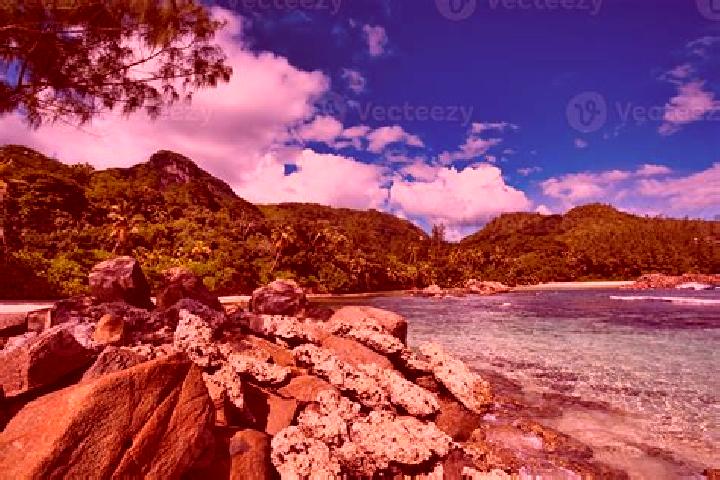 Lily, 39 — Escort in Port Glaud, Seychelles