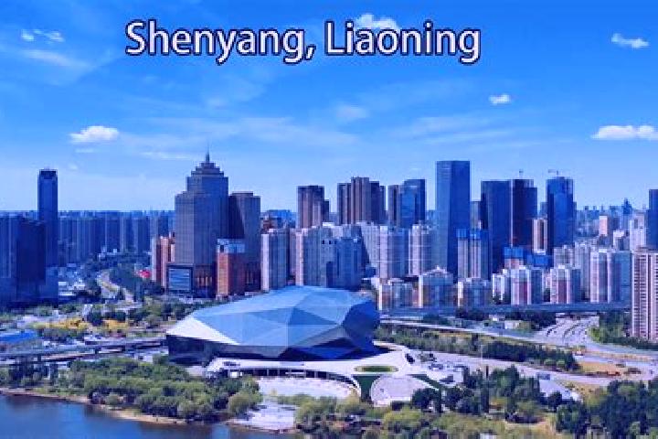 Lily, 39 — Escort in Shengjiang, China