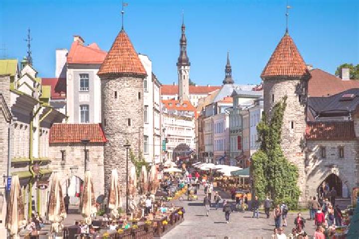 Lily, 39 — Escort in Tallinn, Estonia