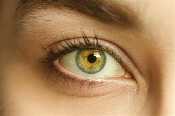 Lucy, 21, a auburn hazel-eyed mixed companion based in Tieton. Offering Massage, A-Level, Travel Companion, OWO. Available for incall and outcall, overnight ...