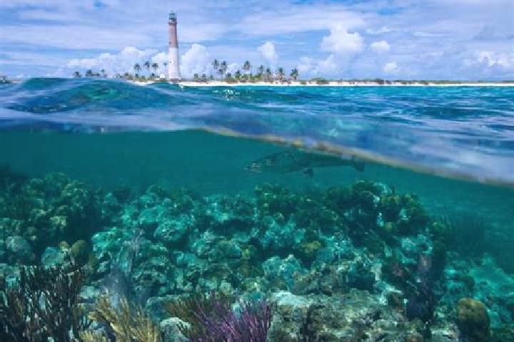 Lucy, 21 — Escort in Biscayne, Belize