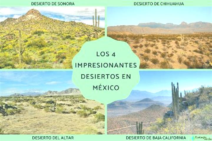 Lucy, 21 — Escort in El Desierto, Mexico