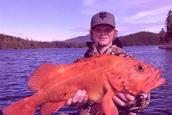 Lucy, 21 — Escort in Rockfish, United States