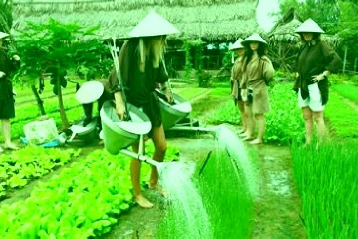 Lucy, 22 — Escort in Tra Que Vegetable Village, Vietnam