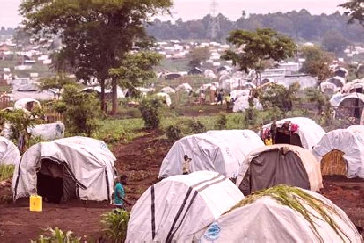 Lucy, 23 — Escort in Kyangwali Refugee Camp, Uganda