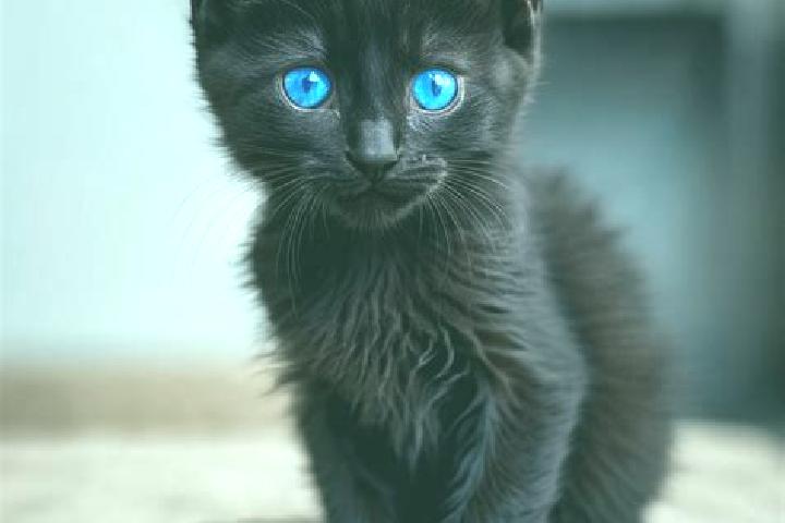 Lucy, 26, a black blue-eyed caribbean companion based in Hampden Sydney. Offering GFE, Roleplay, Travel Companion, Party Girl. Available for incall and outca...
