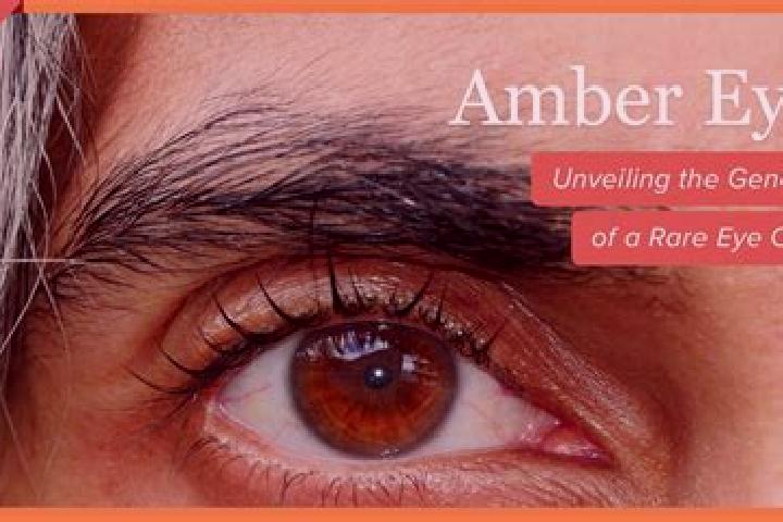 Lucy, 26, a red amber-eyed caribbean companion based in Much Wenlock. Offering 69, Roleplay, OWO, Girlfriend Experience, Prostate Massage. Available for inca...