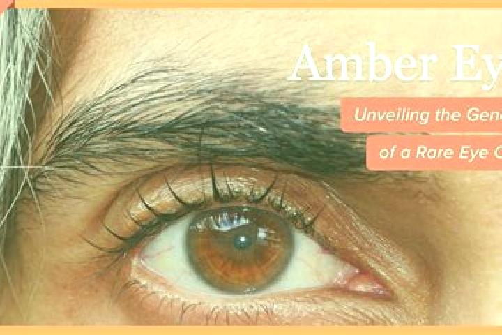 Lucy, 26, a red amber-eyed indian companion based in Littlebury. Offering Girlfriend Experience, GFE, BDSM, Overnight, Fetish. Available for incall and outca...