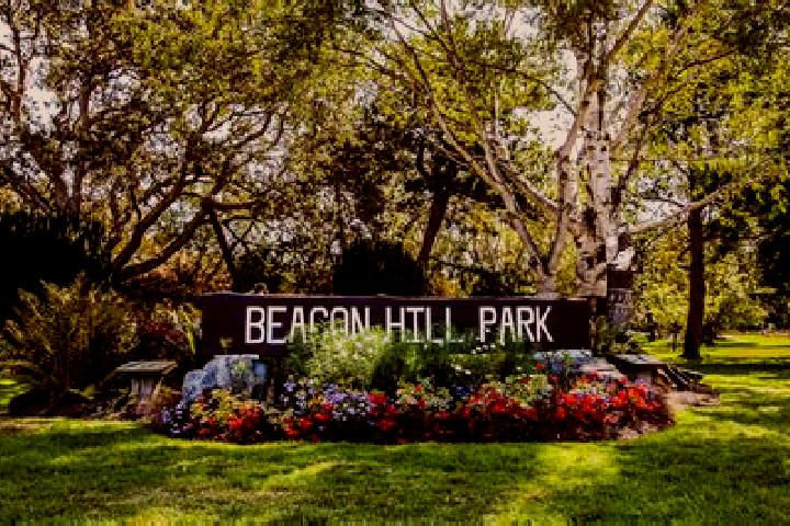 Lucy, 26 — Escort in Beacon Hill, United States