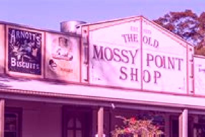 Lucy, 26 — Escort in Mossy Point, Australia