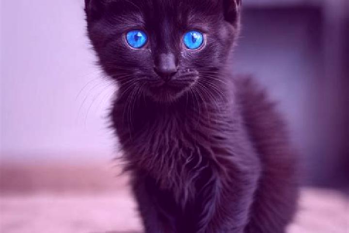 Lucy, 27, a black blue-eyed caribbean companion based in Seteluk Atas. Offering Domination, Travel Companion, CIM, Fetish, Overnight. Available for incall an...
