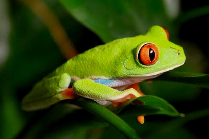 Lucy, 27, a red green-eyed caribbean companion based in Oppenberg. Offering GFE, Fetish, Couples, Overnight. Available for incall and outcall, day and evenin...
