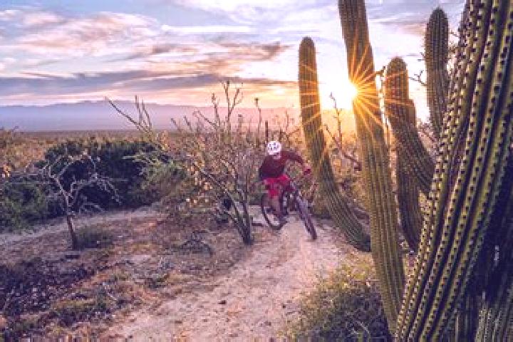 Lucy, 27 — Escort in Rancho Cuachixolotera, Mexico