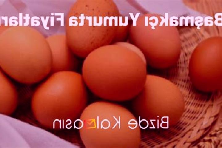Lucy, 28 — Escort in Basmakci, Turkey