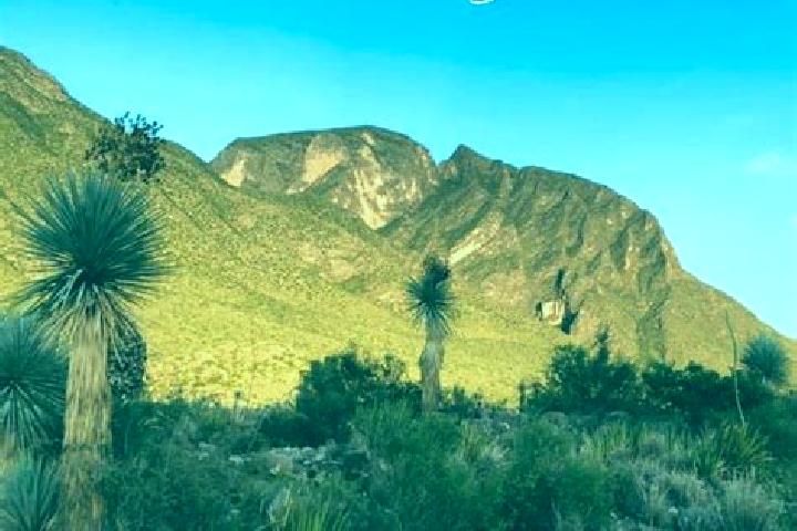 Lucy, 28 — Escort in La Flor de Jimulco, Mexico