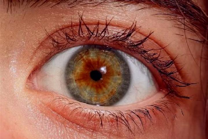 Lucy, 30, a red hazel-eyed european companion based in Carmopolis. Offering OWO, Roleplay, A-Level, Dinner Date. Available for incall and outcall, day and ev...