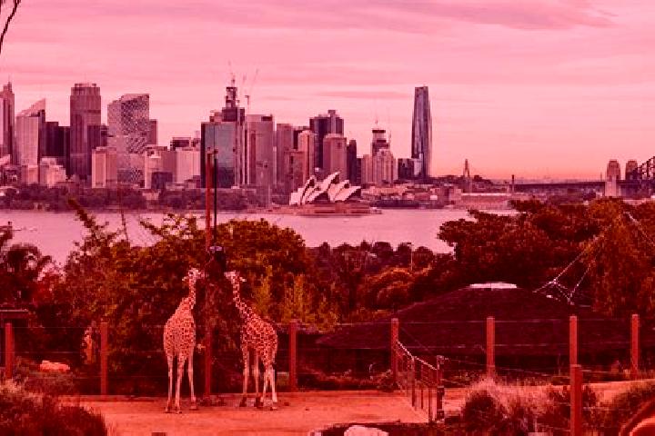 Lucy, 30 — Escort in Sydney, Australia
