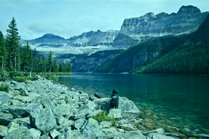 Lucy, 30 — Escort in Temple, Canada