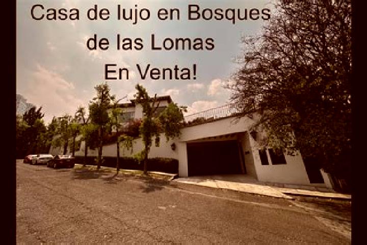 Lucy, 30 — Escort in Villa Doctor Gomez (Las Lomas), Mexico