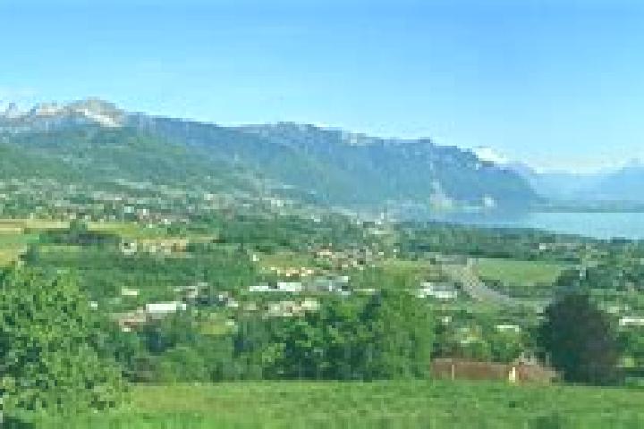 Lucy, 31, a red grey-eyed mixed companion based in St-Legier-La Chiesaz. Offering Travel Companion, OWO. Available for incall and outcall, day and evening da...