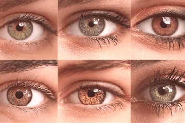 Lucy, 31, a red hazel-eyed middle eastern companion based in Ardore Marina. Offering 69, Domination, Duos. Available for incall and outcall, day and evening ...