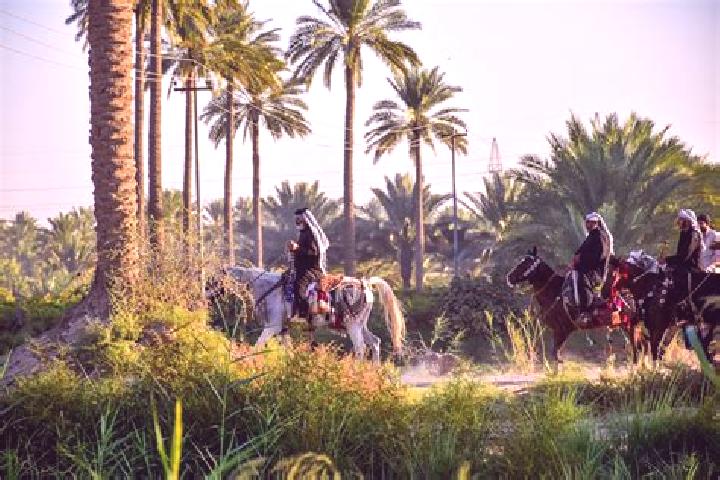 Lucy, 31 — Escort in As Samawah, Iraq