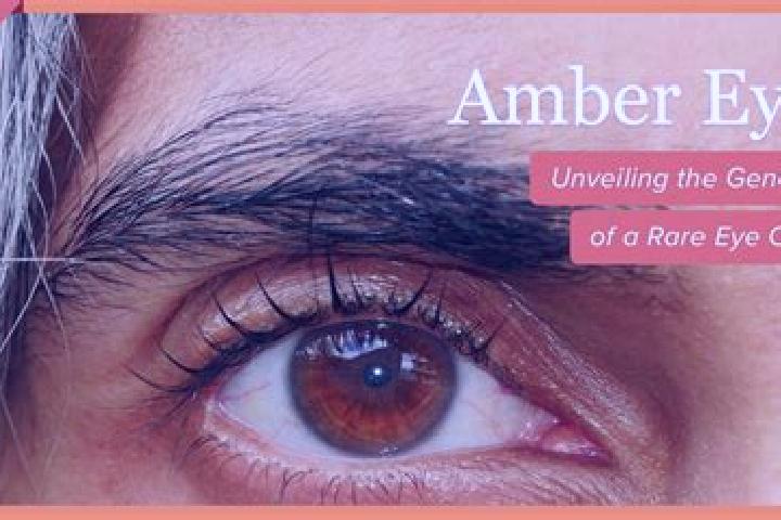 Lucy, 32, a red amber-eyed european companion based in Malawona. Offering Tantra, Fetish, Duos, Domination. Available for incall and outcall, overnight booki...