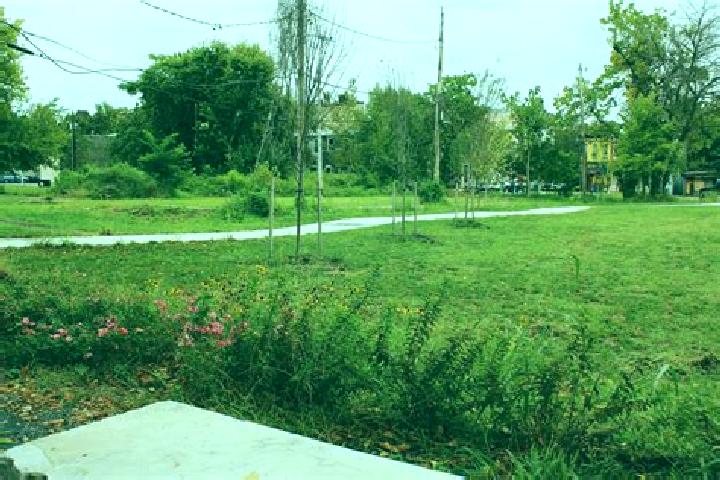 Lucy, 32 — Escort in Central Forest Park, United States