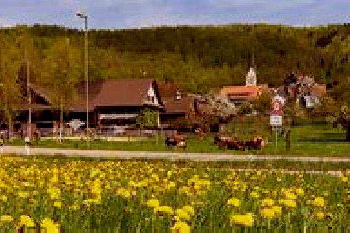 Lucy, 32 — Escort in Hausen am Albis / Hausen (Dorf), Switzerland