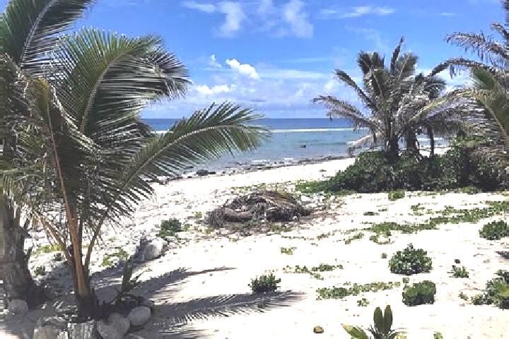 Lucy, 32 — Escort in Matavera, Cook Islands