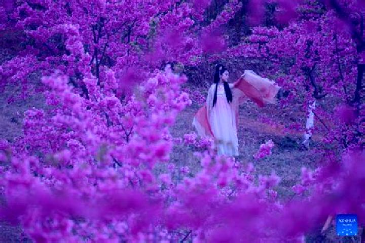 Lucy, 32 — Escort in Quchi, China