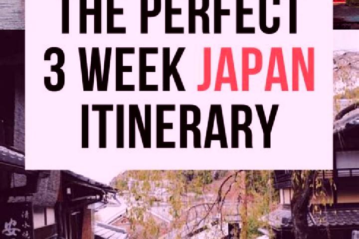 Lucy, 32 — Escort in Tajimi, Japan