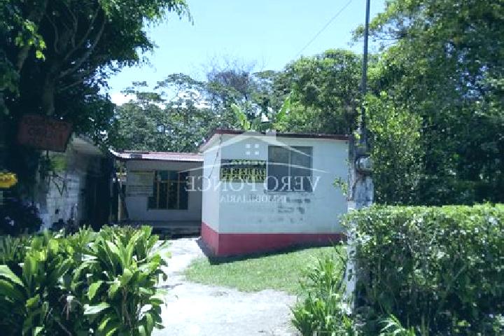 Lucy, 32 — Escort in Tecama Caleria (Sabana Larga), Mexico