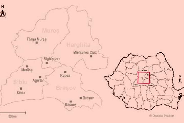 Lucy, 32 — Escort in Tulghes, Romania