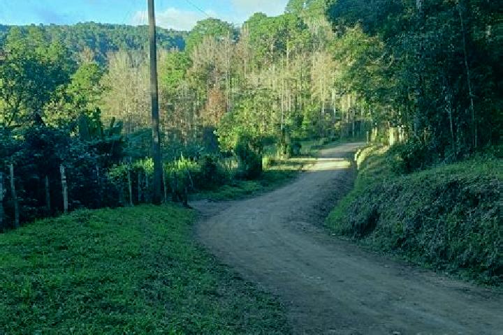 Lucy, 33 — Escort in Opatoro, Honduras