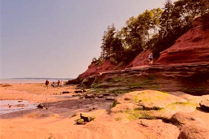 Lucy, 34 — Escort in Fundy Shores, Canada