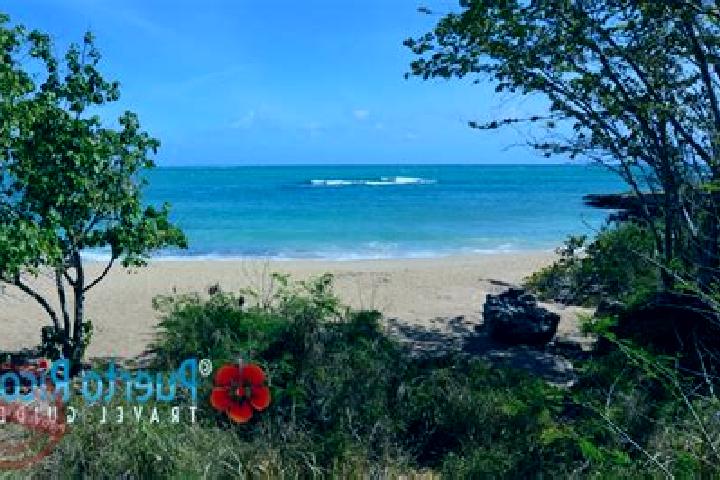 Lucy, 34 — Escort in Guanica, Puerto Rico