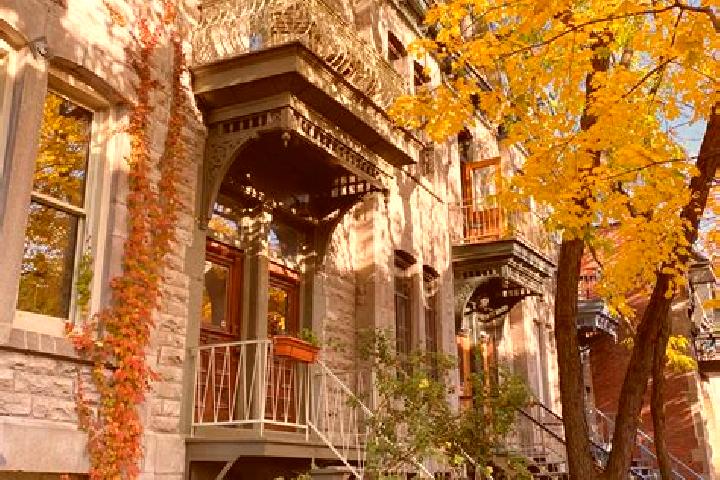 Lucy, 34 — Escort in Montreal, France