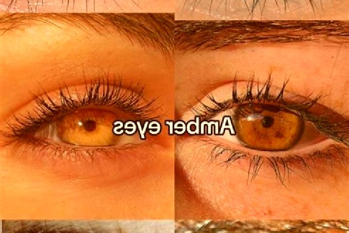 Lucy, 35, a brunette amber-eyed middle eastern companion based in Segundo Ensanche. Offering Tantra, Massage, Roleplay. Available for incall and outcall, ove...